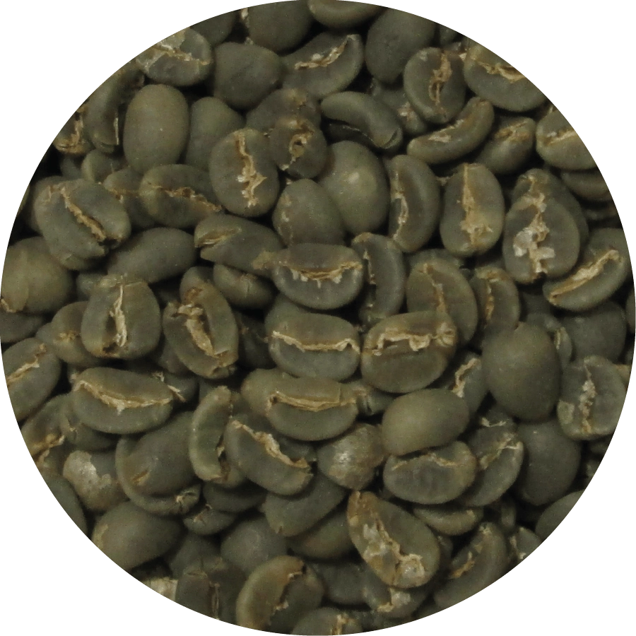 Aceh Gayo Grade 1