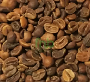 Bali, Java, Gayo, and Mandheling Wine