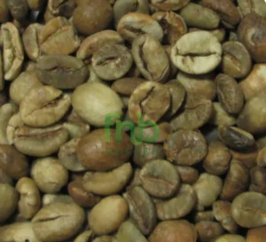 Bali Kintamani Robusta ELB 350 BC