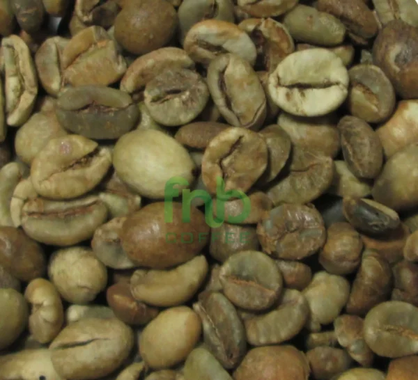 Bali Kintamani Robusta ELB 350 BC