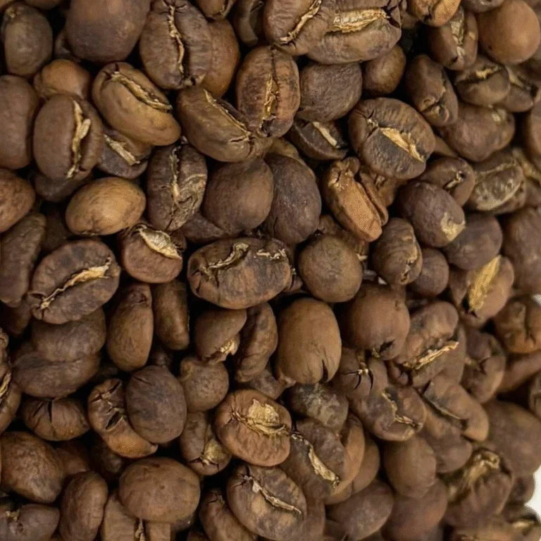 Bali Kintamani Robusta Roasted