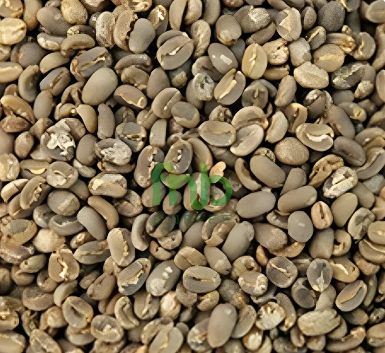 Bali Kintamani Arabica