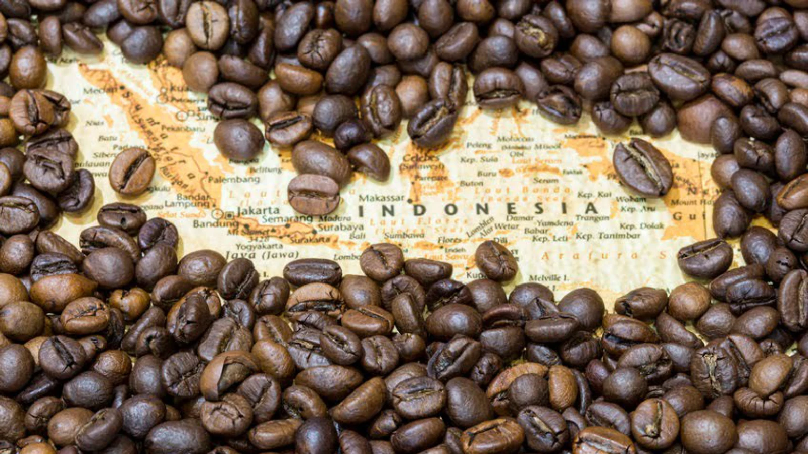 Coffee Beans From Province Indonesia 1