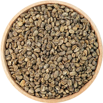 Arabica Bali Kintamani