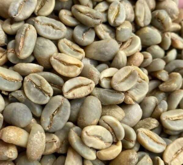 Gayo Natural Wine