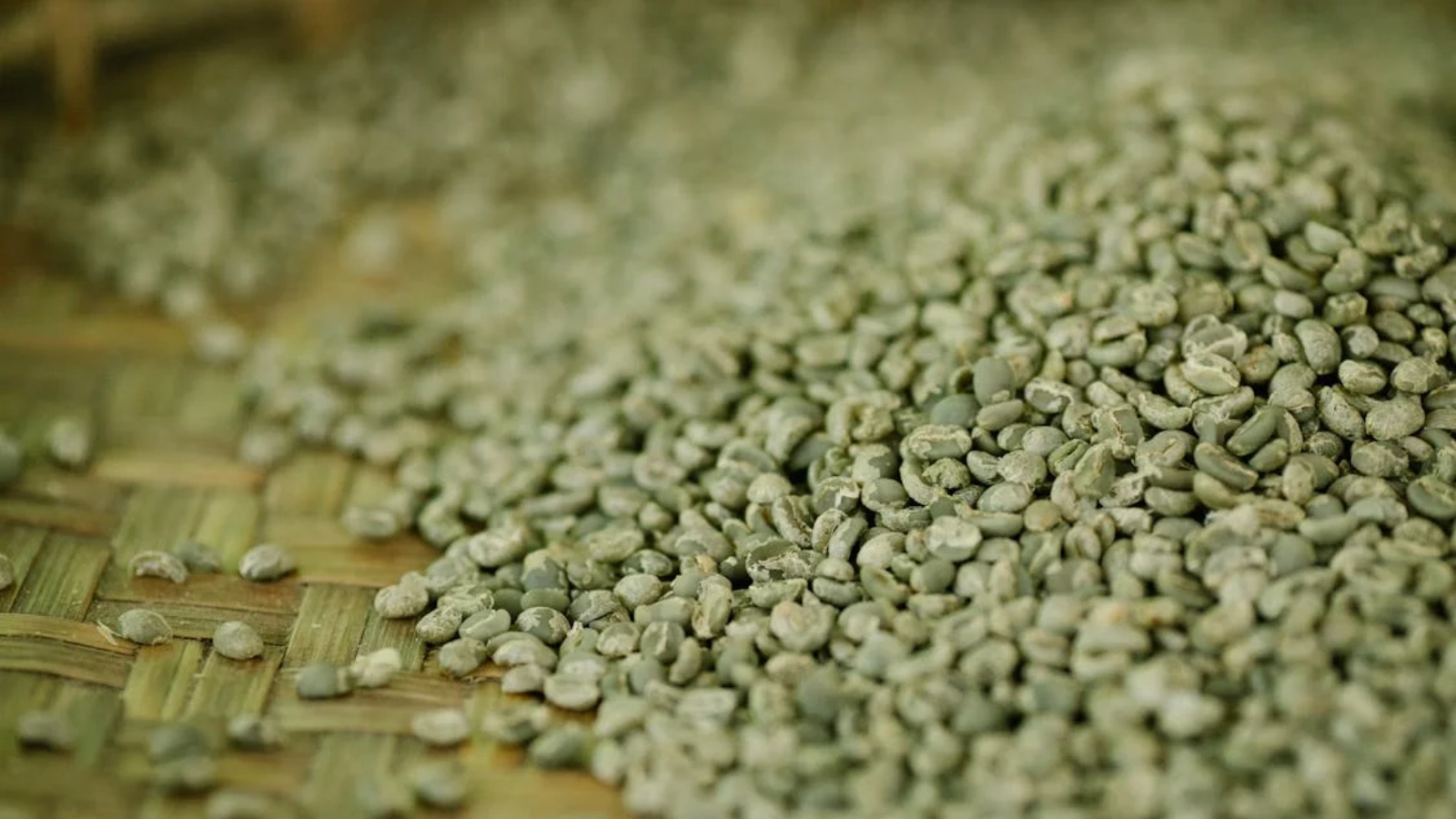 Green Coffee Beans