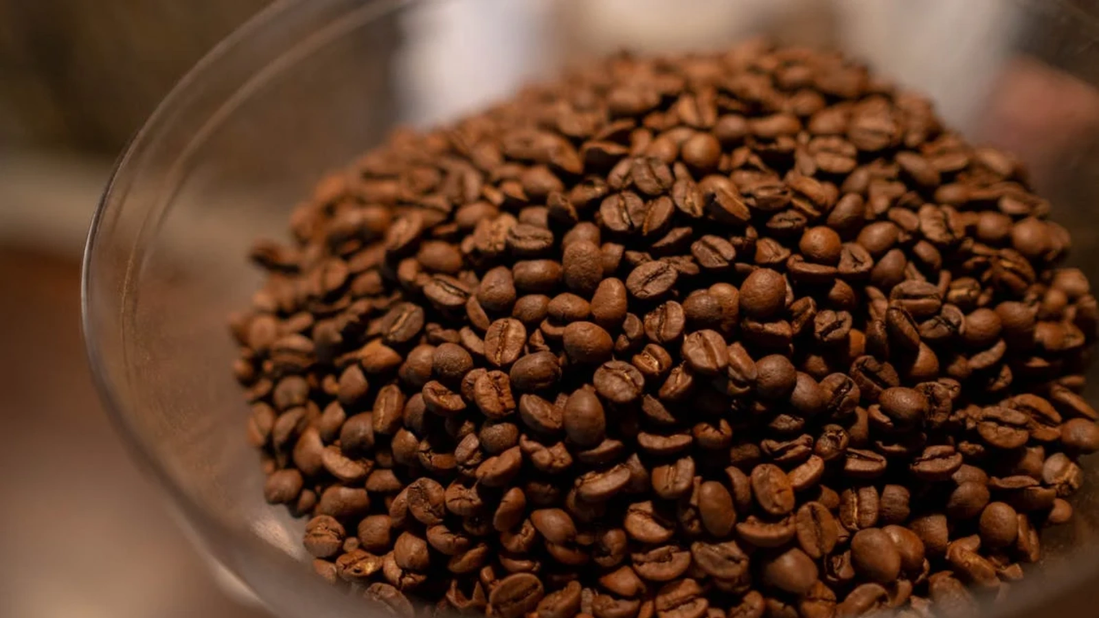 Java Coffee Beans