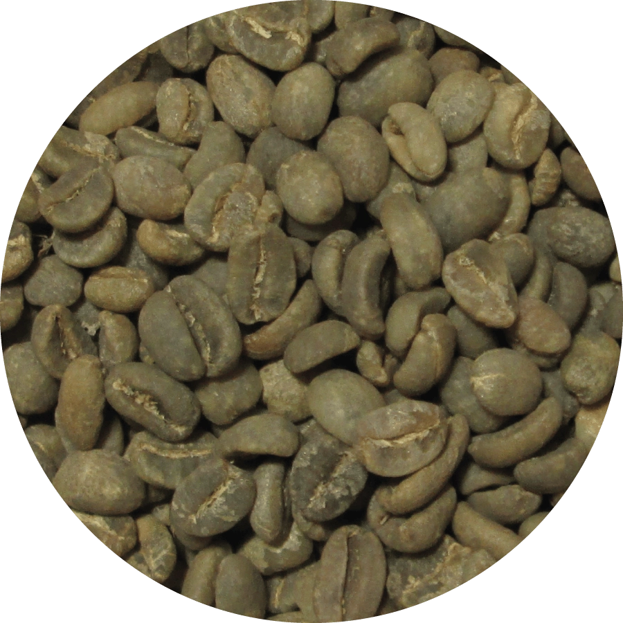 Arabica Kopi Luwak Coffee 