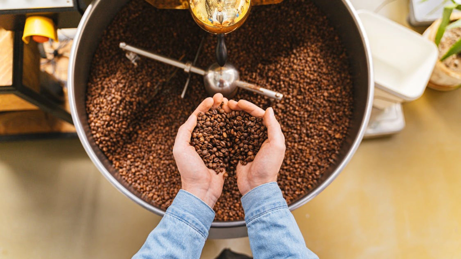 Roasting Coffee Beans