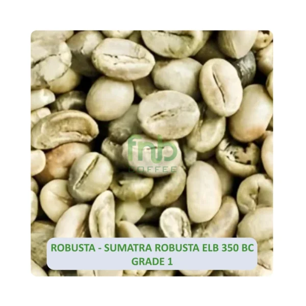 Sumatra Robusta - Imagen 2