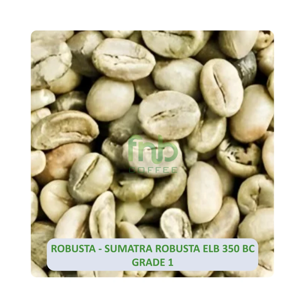 Sumatra Robusta ELB 350 BC Grade 1 1