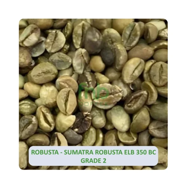 Sumatra Robusta - Imagen 3