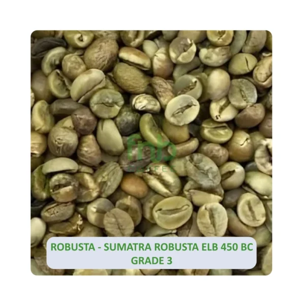 Sumatra Robusta ELB 450 BC Grade 3