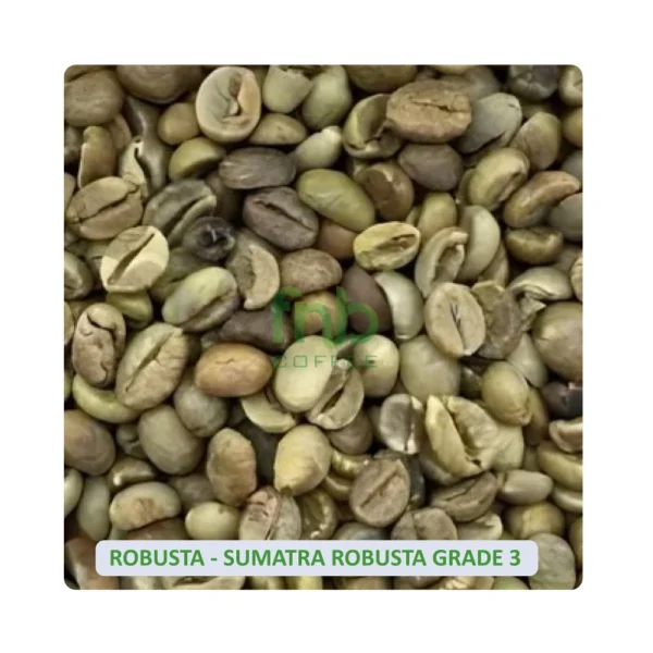 Sumatra Robusta Grade 3