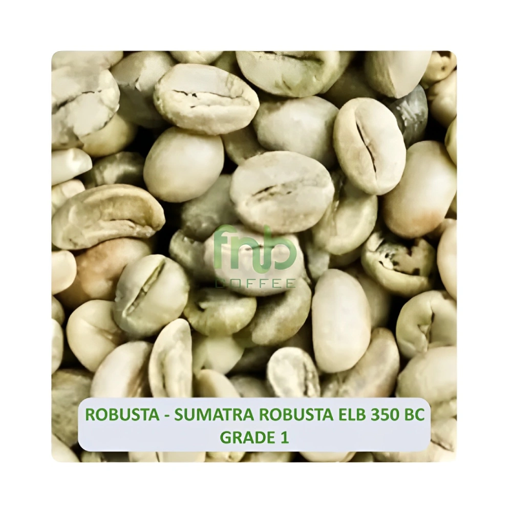 Sumatra Robusta ELB 350 BC Grade 1