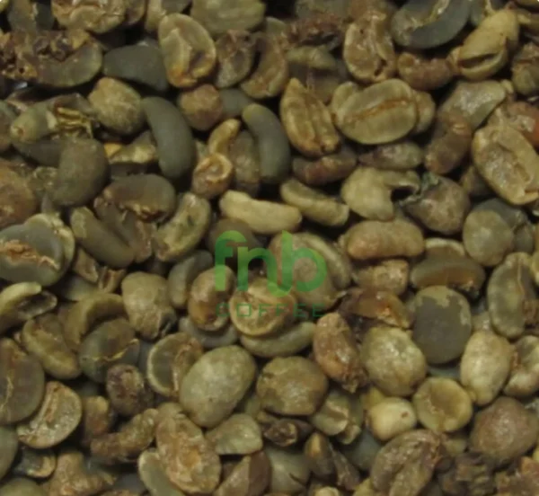 Sumatra Tiger Grade 3 Special