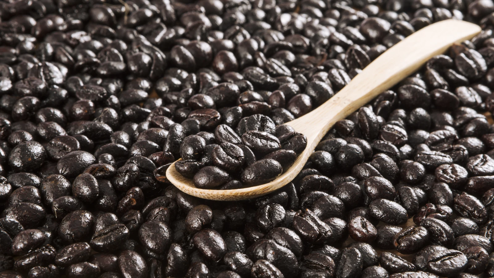 Why Are Some Coffee Beans Oily