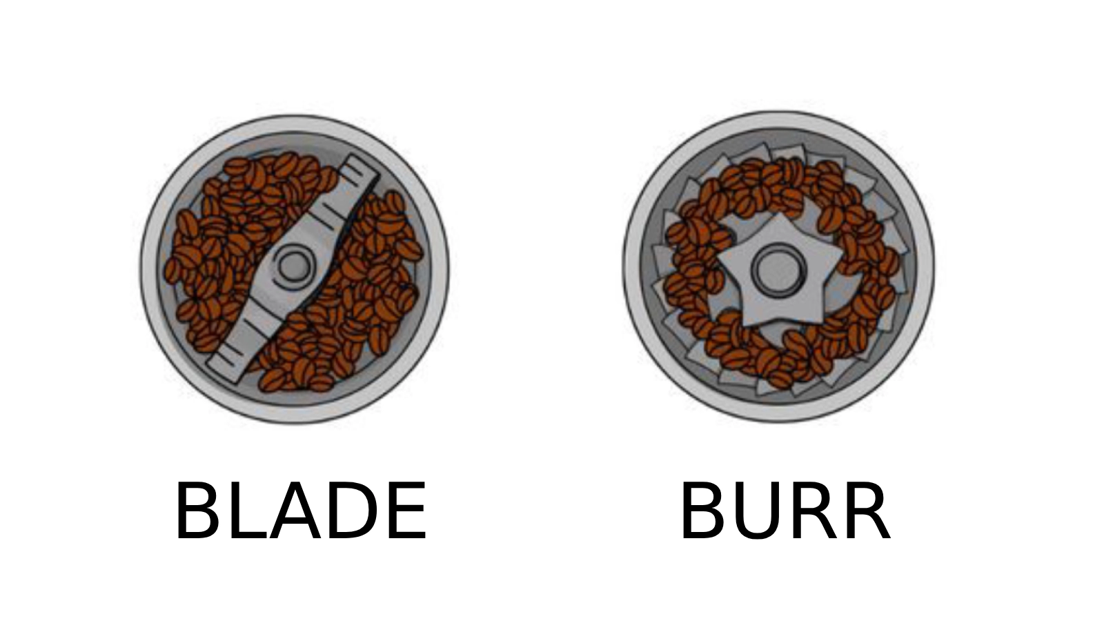 Blade Vs Burr Grinder