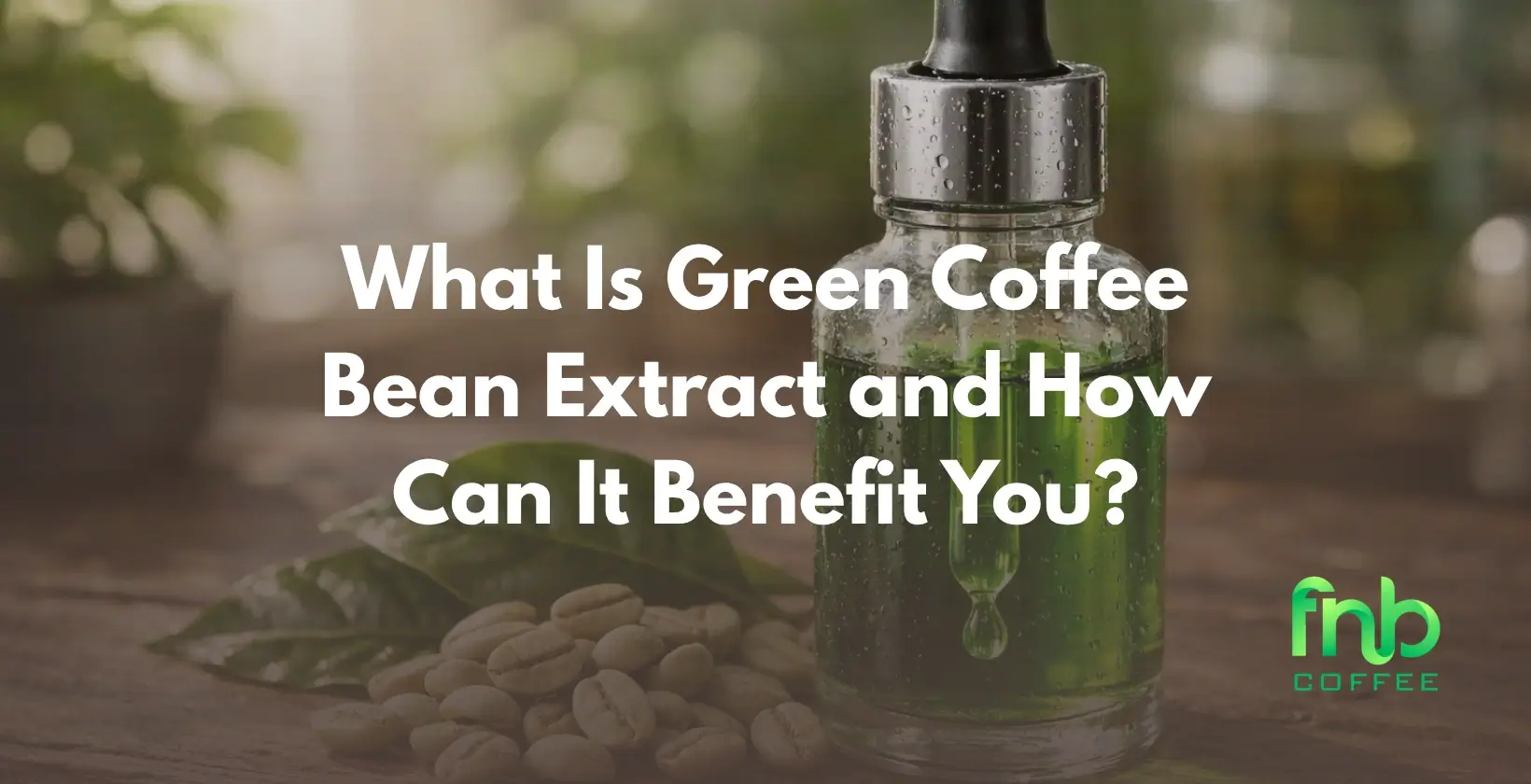 Green Coffee Bean Extract
