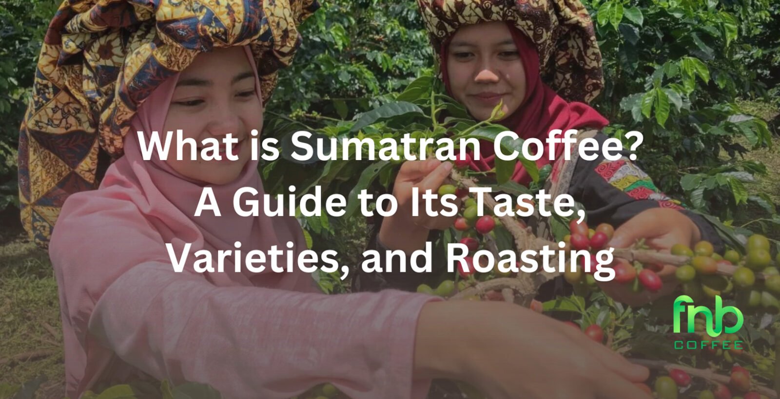 What is Sumatran Coffee? A Guide to Its Taste, Varieties, and Roasting