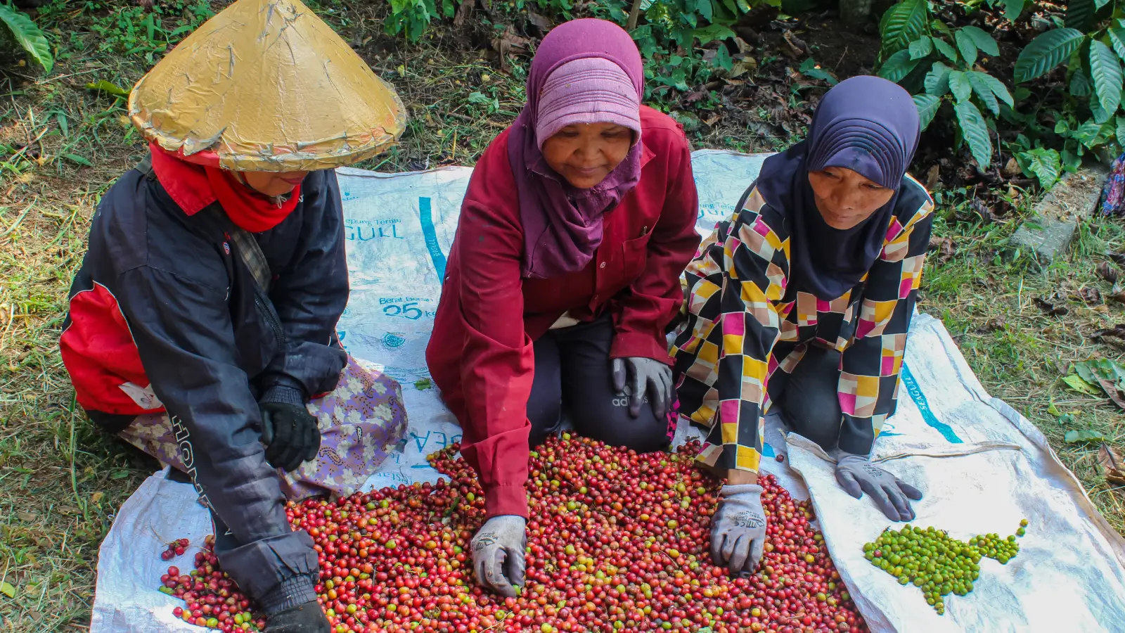 Indonesia Coffee Regions