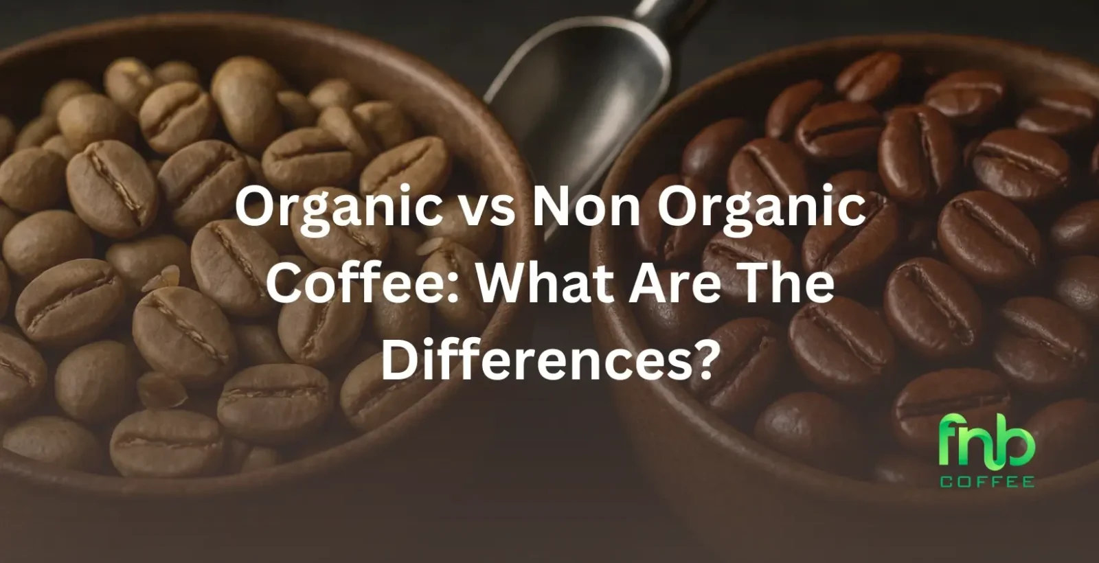 Organic vs Non Organic Coffee: What Are The Differences?