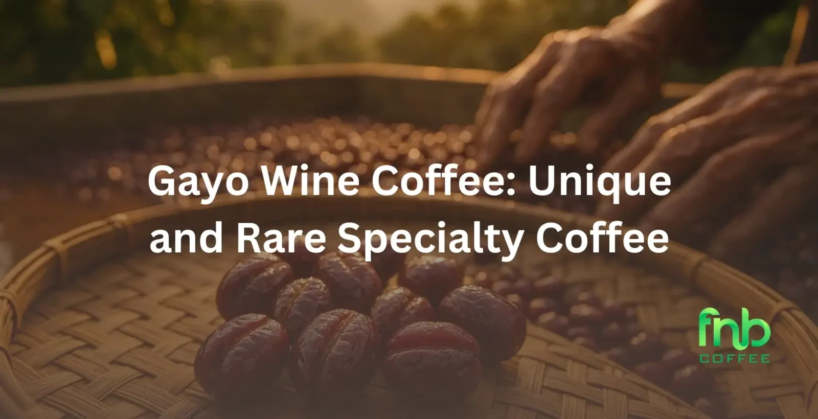 Gayo Wine Coffee: Unique and Rare Specialty Coffee