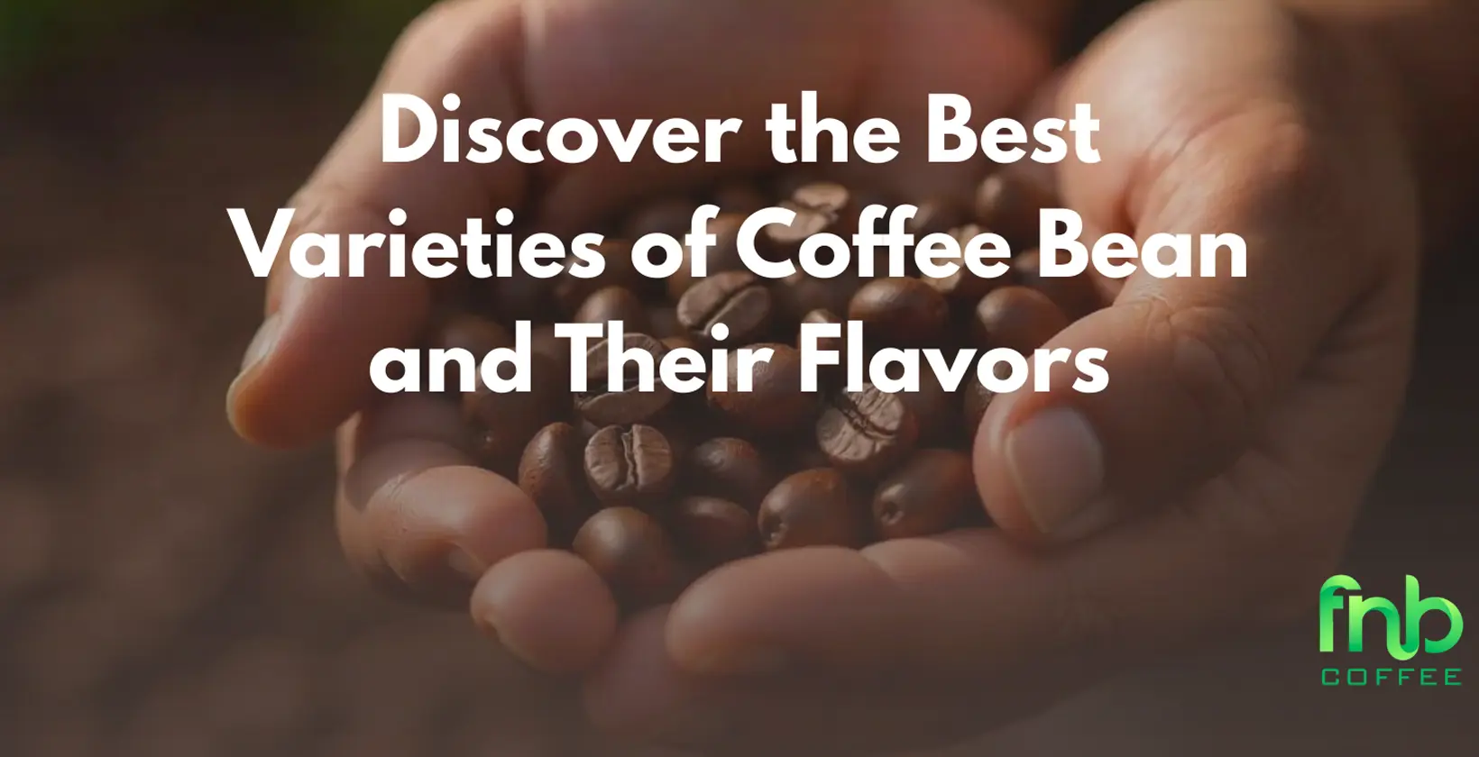 An immersive look at Gayo coffee, highlighting its distinct characteristics and the allure of its exotic origins.