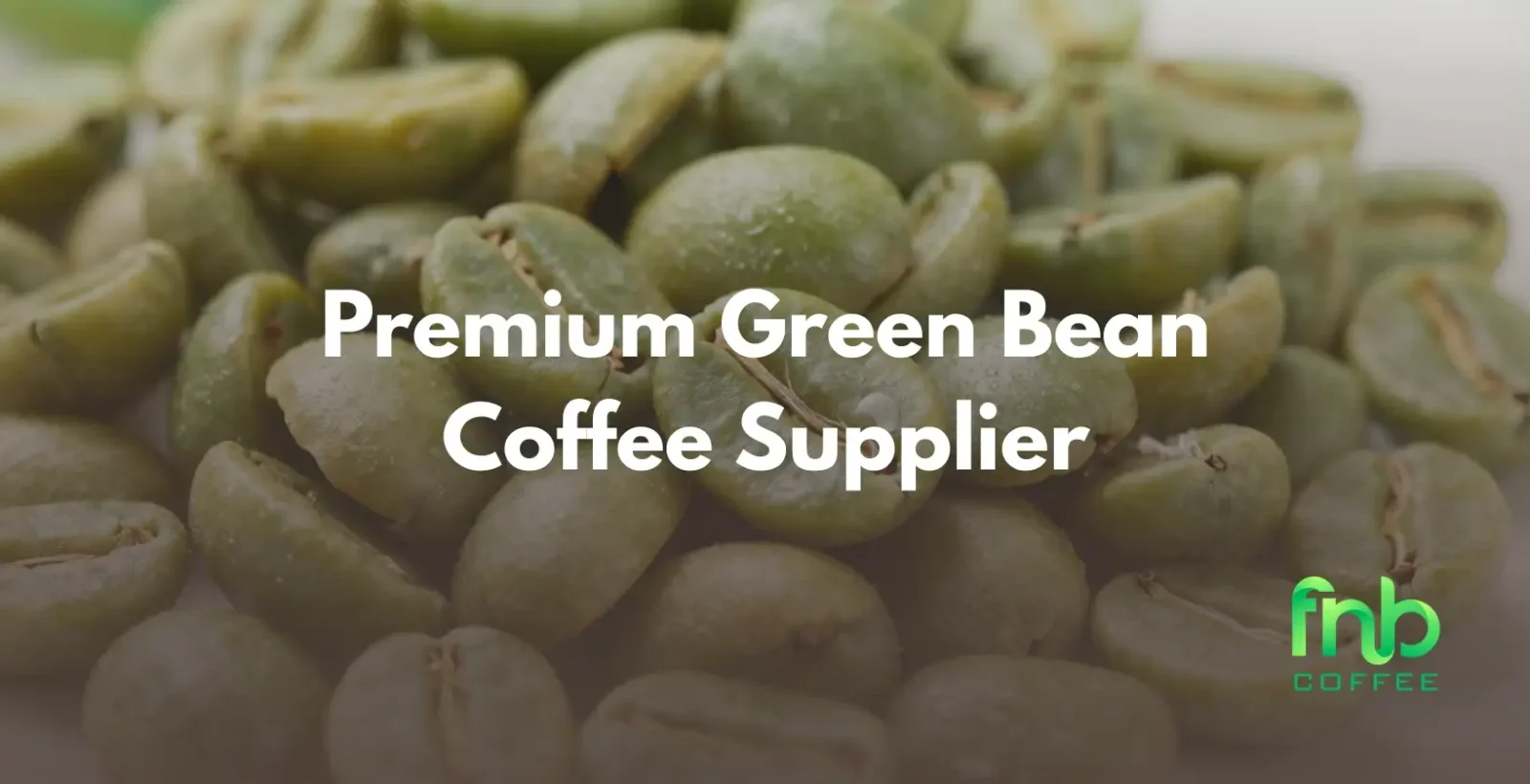 Premium Green Bean Coffee Supplier