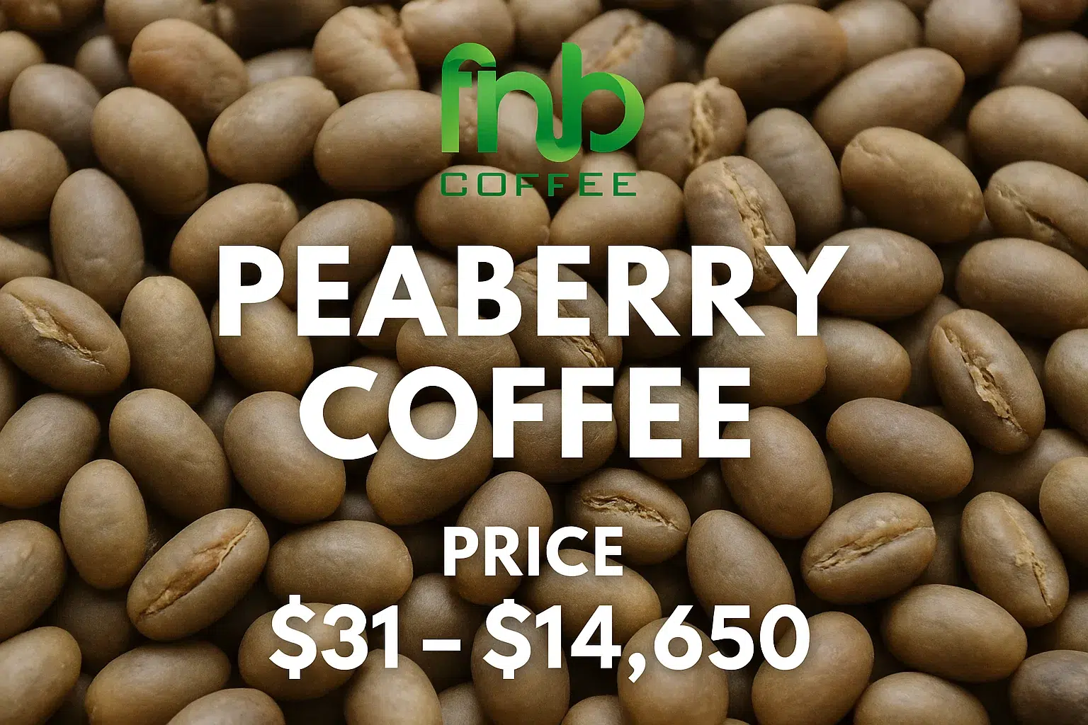 Discover Why Peaberry Coffee Is So Unique and Irresistible! 4 Peaberry Coffee FnB Coffee
