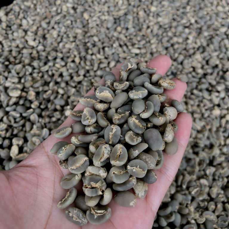 Coffee Flavor