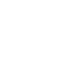 icon distributors