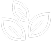 Indonesia Arabica Coffee Beans 13 icon leaf coffee