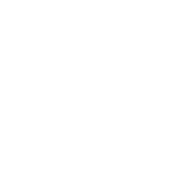 icon private label