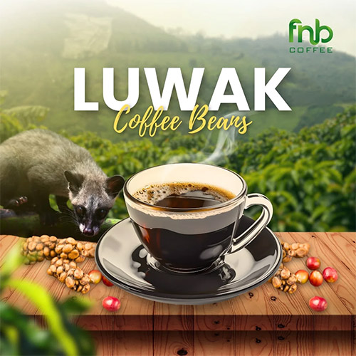 luwak