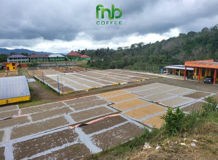 Our Story 2 FnB Coffee Plantation