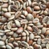Gayo Honey Varietas Tim Tim