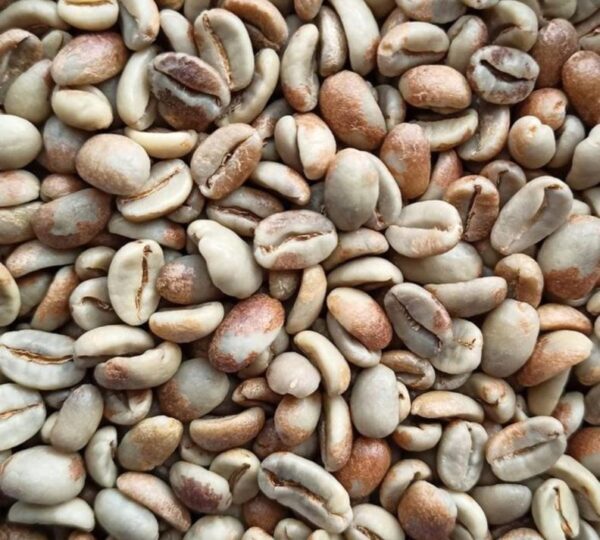 Gayo Honey Varietas Tim Tim