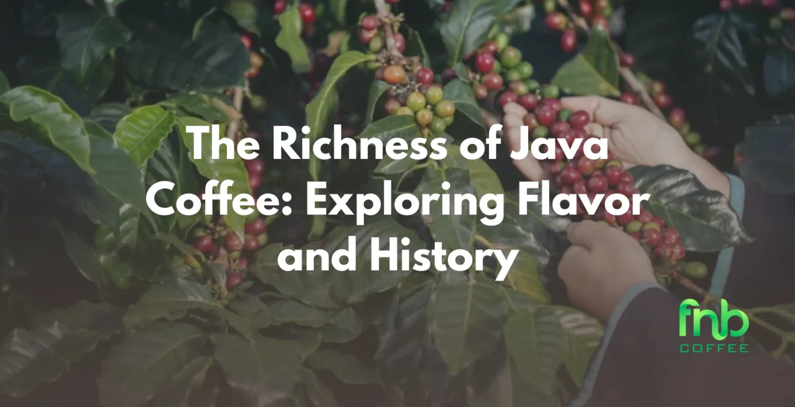The Richness of Java Coffee: Exploring Flavor and History