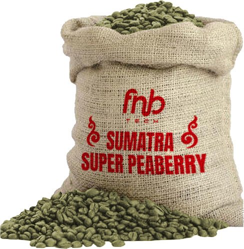 Wholesale 11 Sumatra Super Peaberry
