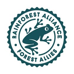 logo rainforest
