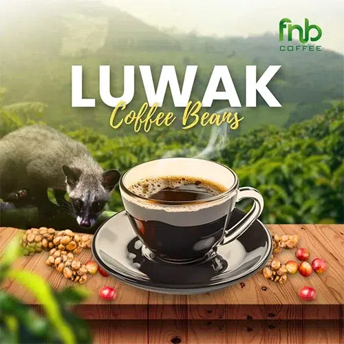 Luwak Coffee Beans FnB Coffee