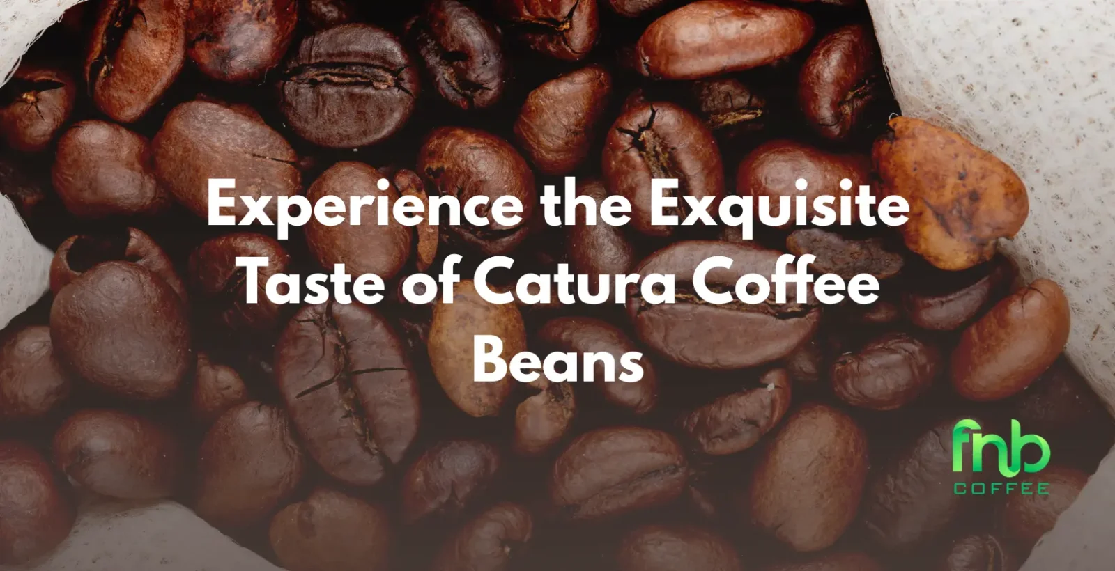 Experience the Exquisite Taste of Catura Coffee Beans