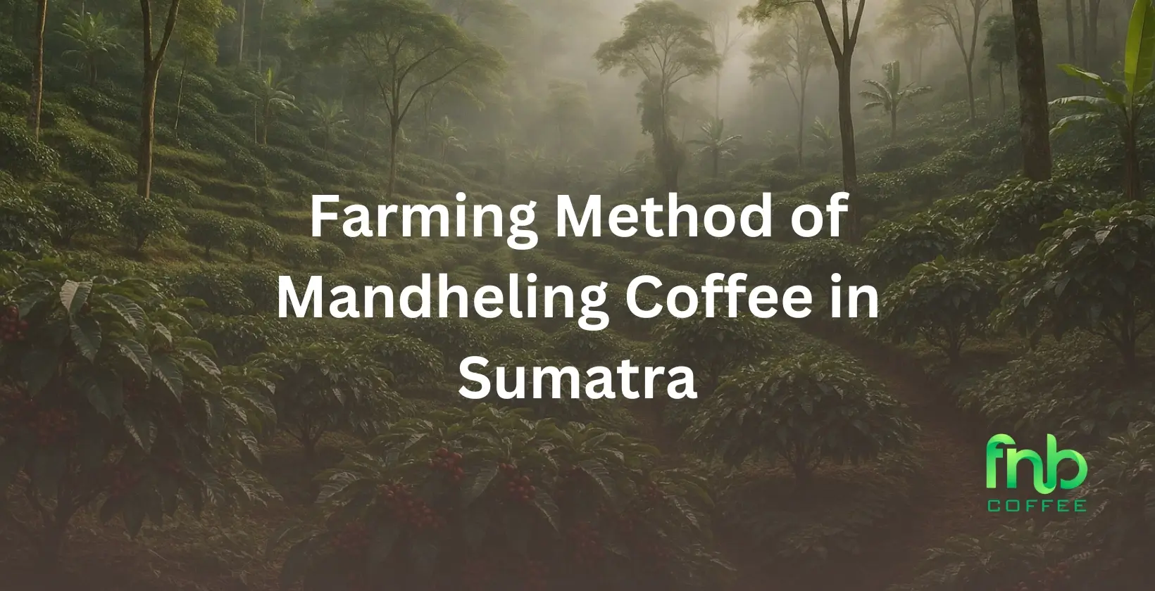 Farming Method Mandheling Coffee