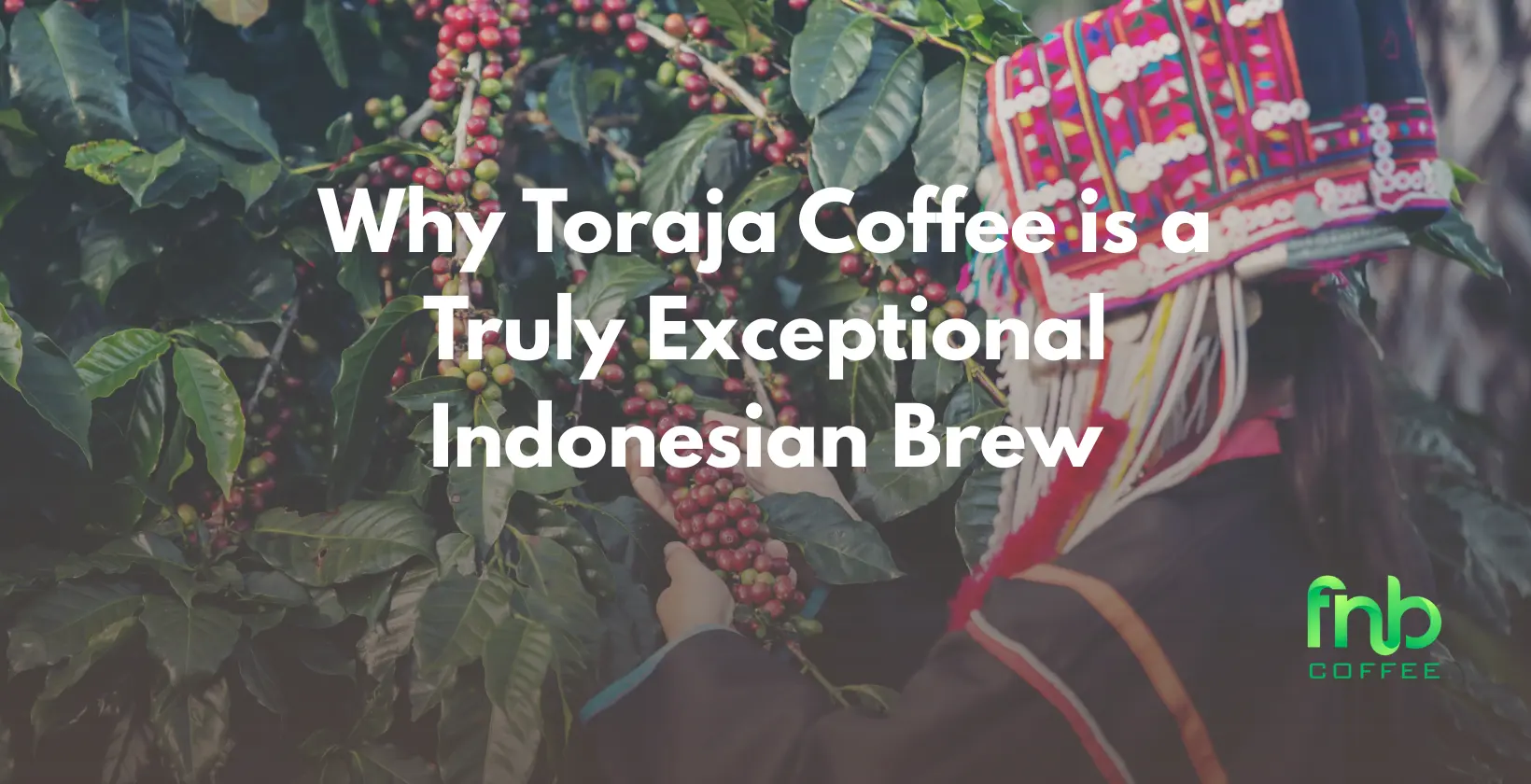 Explore the exceptional qualities of Toraja coffee, a unique Indonesian brew known for its rich flavor and aroma.