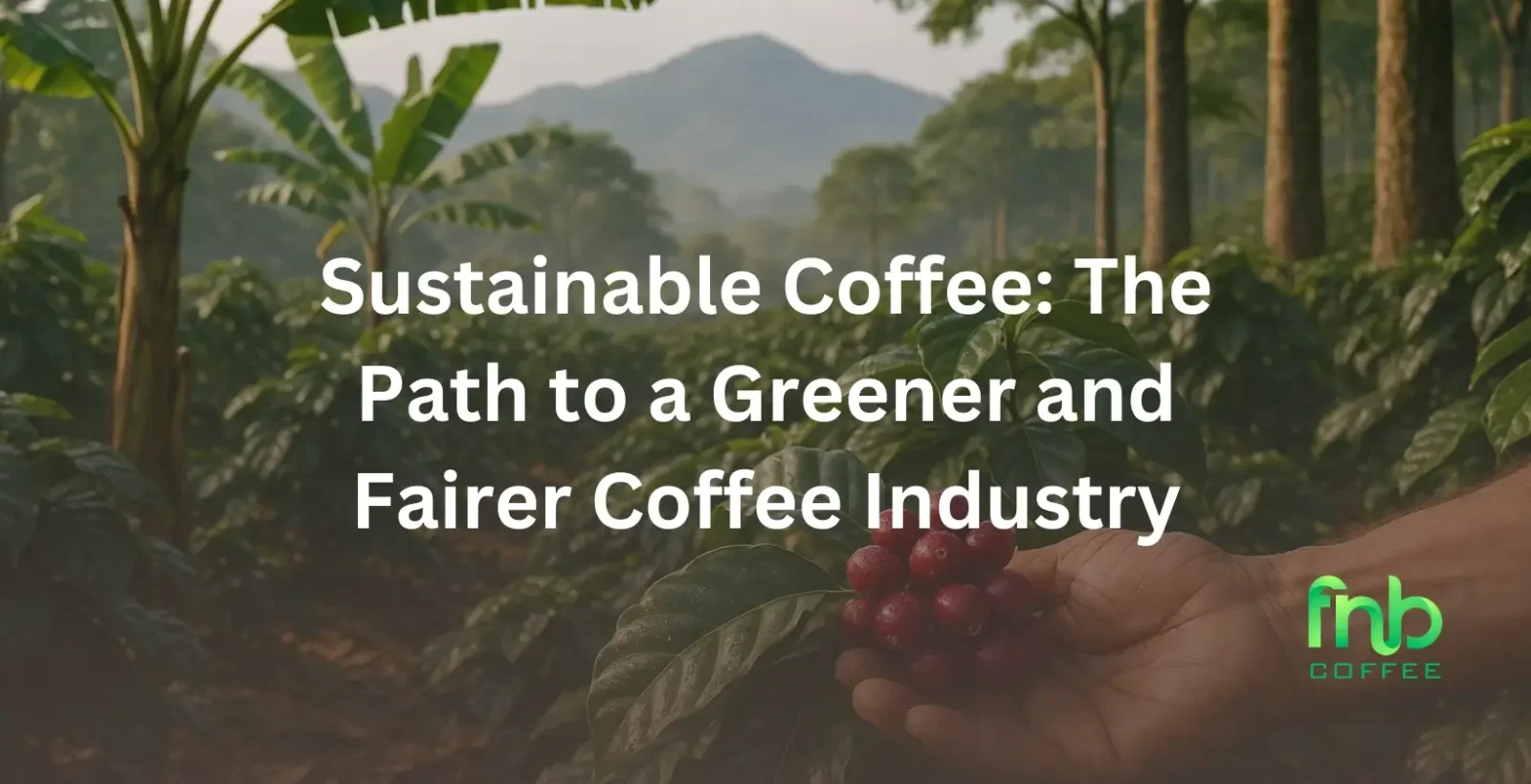 Sustainable Coffee: The Path to a Greener and Fairer Coffee Industry