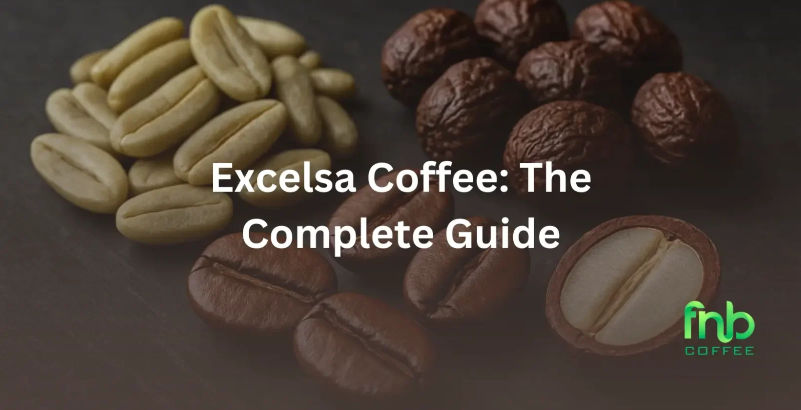 Excelsa Coffee: The Complete Guide