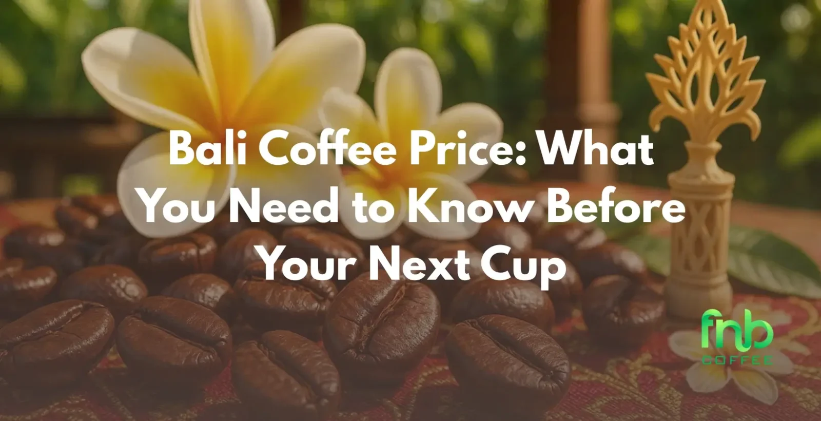 Bali Coffee Price: What You Need to Know Before Your Next Cup