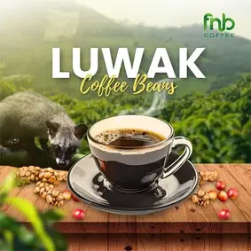 Coffee Luwak