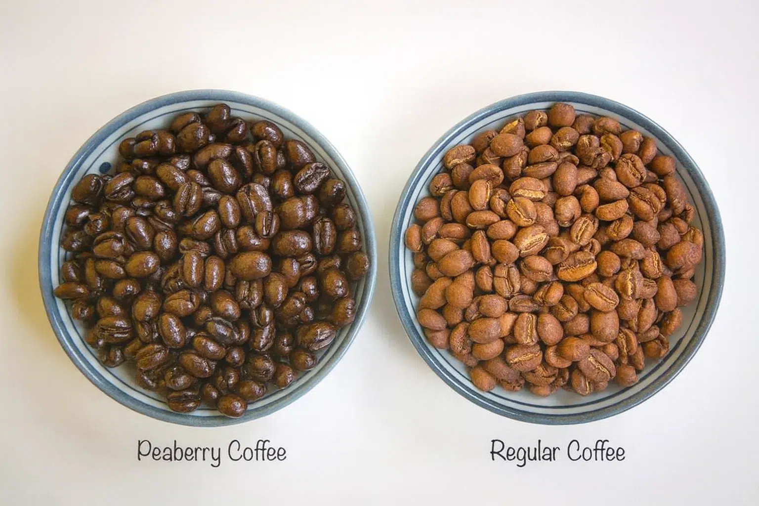 Peaberry Coffee vs Regular Coffee